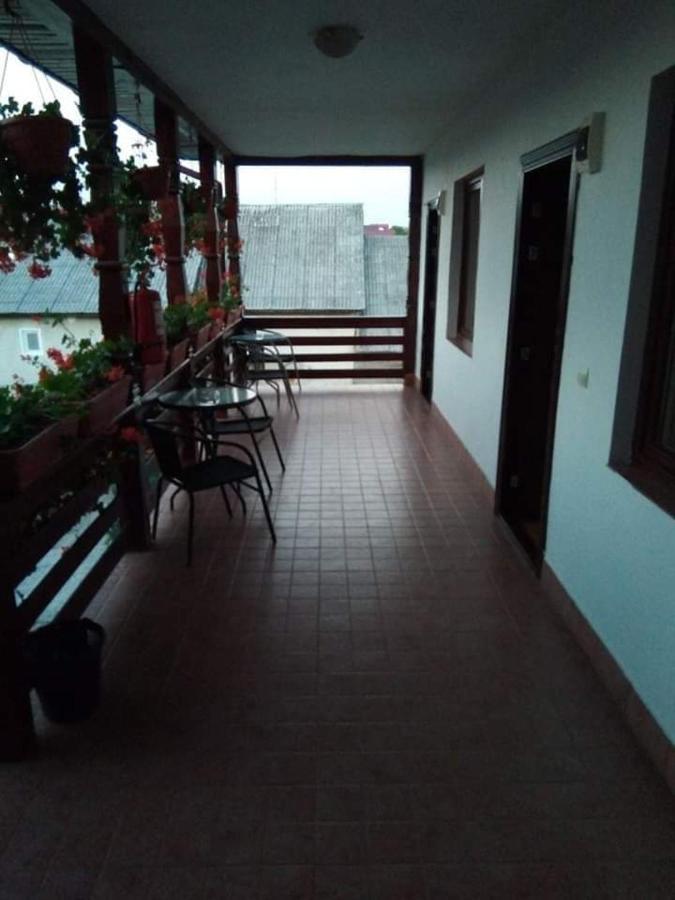 Hotel Cris & Mona Săpînţa Zewnętrze zdjęcie