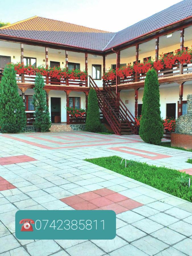 Hotel Cris & Mona Săpînţa Zewnętrze zdjęcie
