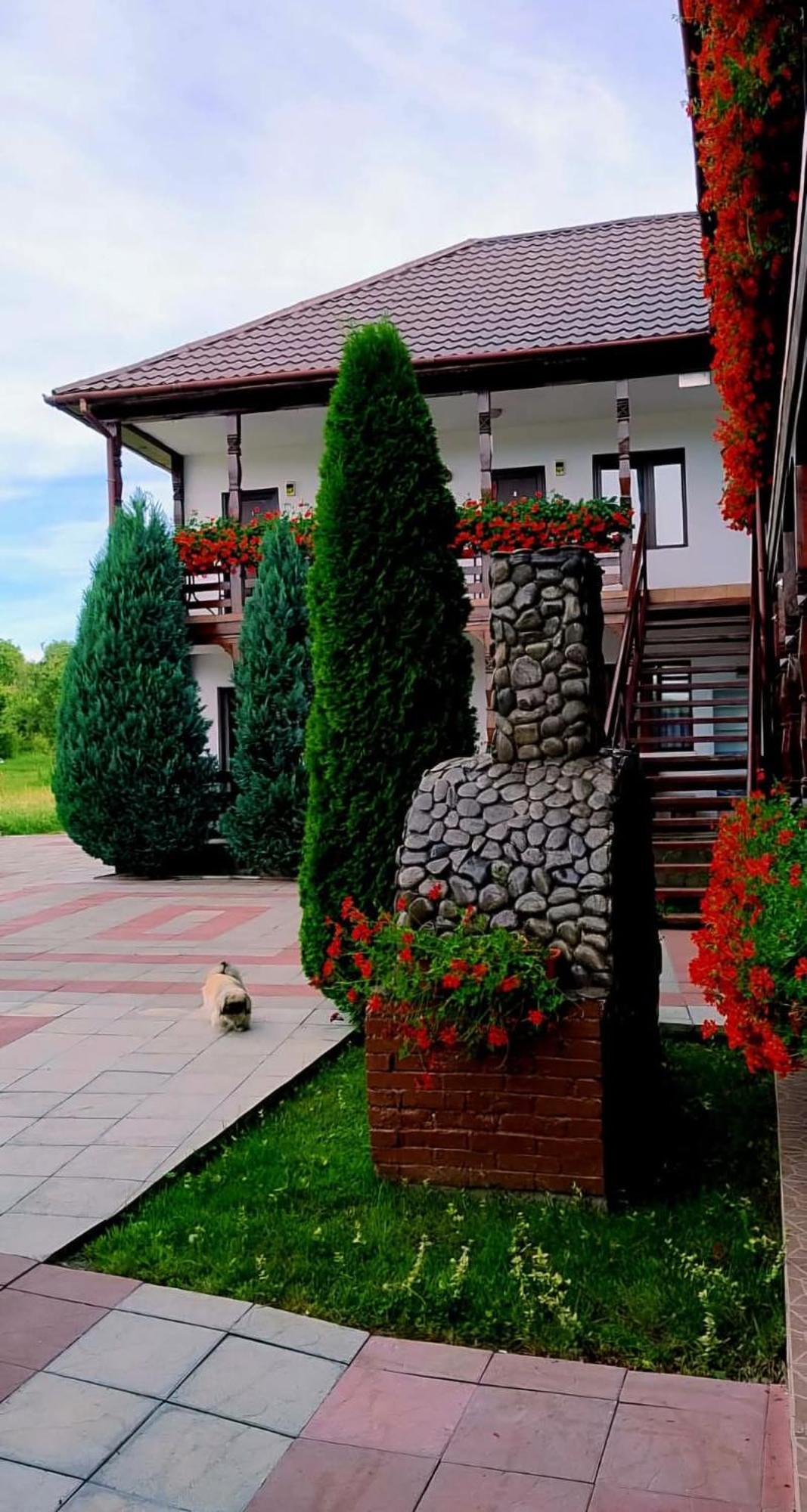Hotel Cris & Mona Săpînţa Zewnętrze zdjęcie