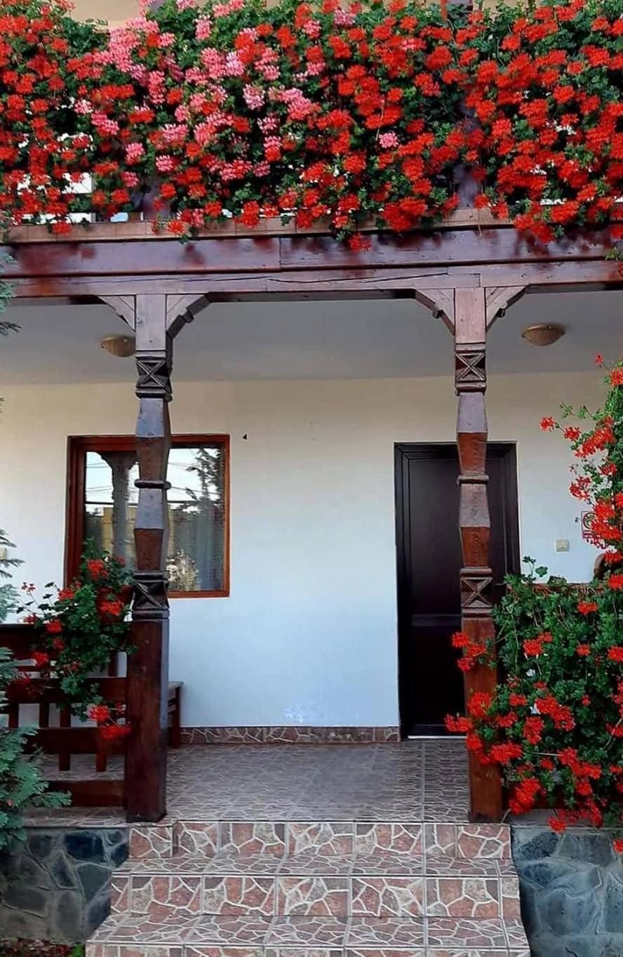 Hotel Cris & Mona Săpînţa Zewnętrze zdjęcie