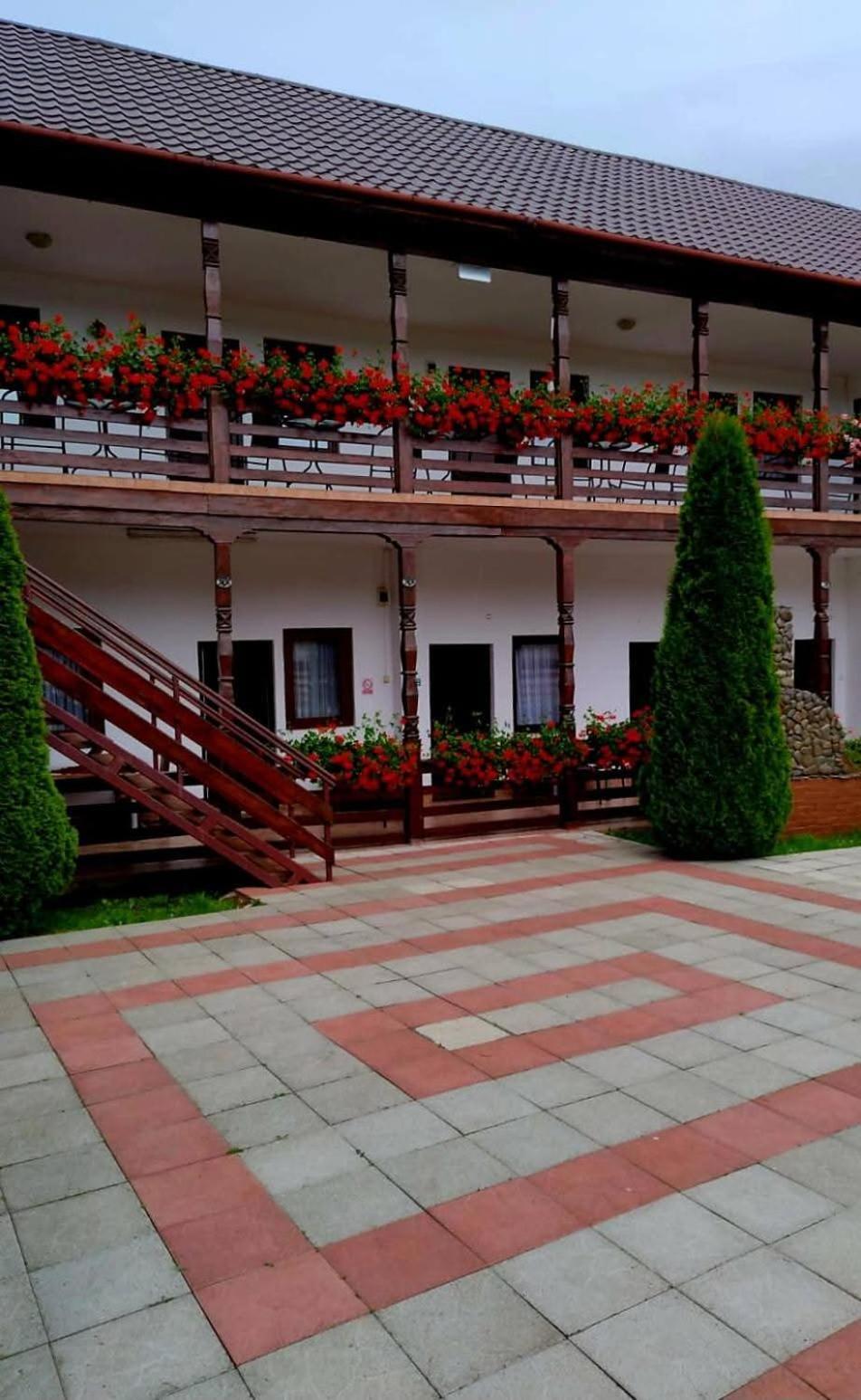 Hotel Cris & Mona Săpînţa Zewnętrze zdjęcie